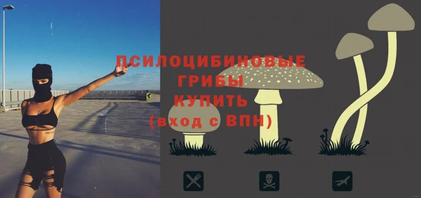 крисы Куйбышев