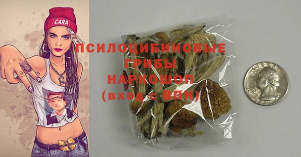 PSILOCYBIN Краснослободск