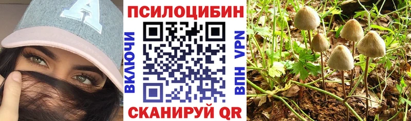 Псилоцибиновые грибы мицелий  Купить  Трёхгорный 